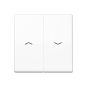 Wippe Symbole aws für Jal.Schalter AS 591-5 PBF WW 