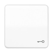 Wippe Symbol TÜR aws für Taster CD 590 BFT WW 