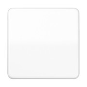 Wippe aws für Schalter/Taster CD 590 BF WW 