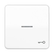 Wippe Sym.TÜR/Lichtl.aws für beleuchtb.Taster CD 590 KO5T WW 