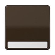 Wippe Schriftfeld br für Taster CD 590 NA 