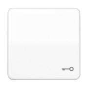 Wippe Symbol TÜR aws für Taster CD 590 T WW 