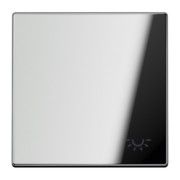 Wippe Symbol LICHT gl.chr für Taster GCR 2990 L 