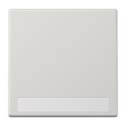 Wippe Schriftfeld lgr für Taster LS 990 NA LG 