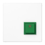 Abstelltaster aws ausgel.RUF abstellen NRS LS 0834 AT WW 