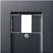 Zentralplatte TAE anth System55 027628 