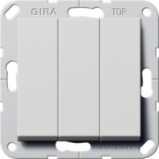 Wipptaster 3-f. BS Schließer grau 2844015 