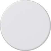 Dimmerknopf rws-matt 091027 