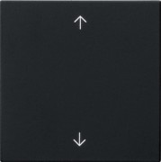 Wippe 1-fach Schwarz 5389005 