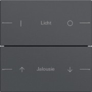 Wippenset 2-fach indiv. Tastsensor Anthrazit 576228 