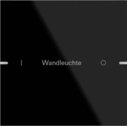 Wippenset 1-fach Tastsens TS4 G sw 503105 