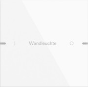 Wippenset 1-fach Tastsens TS4 rws 5031903 