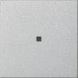 morepic-1