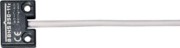Sensor Sicherheits- BNS 250-11ZG 