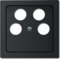 morepic-1