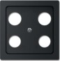 morepic-1