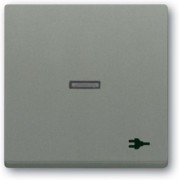Wippe mit Aufdruck graumetallic 1789 ST-803 