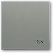 Wippe mit Aufdruck graumetallic 2520 LI-803 