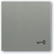 Wippe mit Aufdruck graumetallic 2520 TR-803 