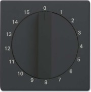 Zentralscheibe anthrazit Bedienelement 1770-81-103 