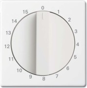 Zentralscheibe studioweiß Bedienelement 1770-84-103 
