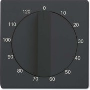 Zentralscheibe anthrazit Bedienelement 1771-81-103 