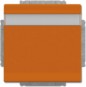 morepic-1