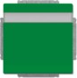 morepic-1
