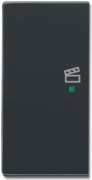 Wippe 2-f li Symbol Szene anthrazit 6233-21-81 