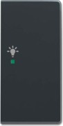 Wippe 2-f re, Symbol Licht anthrazit 6231-22-81 