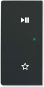 Wippe schwarz matt 6237-21-885 