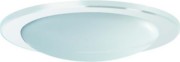 Kunstglas mit Dekorring gewölbt opal DR235-HO-K-D-W 