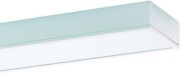 Anbauleuchte m.RIDI-Tube IHLS-L 280/ #0650595 