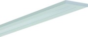 Pendelleuchte f. RIDI-Tube DALI F-LINE-R1X1 #0667417 