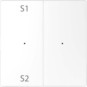 morepic-1