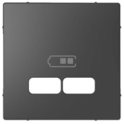 Zentralplatte anth f.USB Ladest.Einsatz MEG4367-6034 
