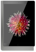iPad Wandhalterung Lack: DarkSteel 510181LAN 