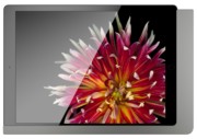 iPad Wandhalterung Lack: DarkSteel 510171 