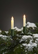 LED-Filament-Kerzenkette 30-tlg. außen 845563 