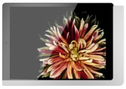 Wandhalterung iPad 10,2" (7/8/9) 510170 