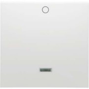 Wippe 2-polig alu Linse D 11.642.70 GLK 
