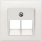 morepic-1
