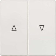 i-syst Wippe 2-fach tws mit Symbol Auf/Ab 5TG6214 