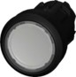 morepic-1