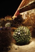 LED-Lichtnetz 160-tlg. grünes Kabel 2x2m 577853 