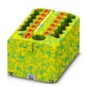 morepic-1