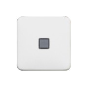 Wippe uws Kontroll mit Symbol. Legrand 776211 