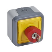 Nottaster gr mit Schloss 10A,250V Legrand 069728 