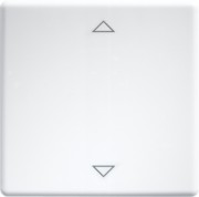 Wippe lasergraviert f.55x55mm rws W-FT55-wg+2P 