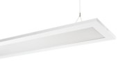 LED-Pendelleuchte 830, DALI FEDGE2-PD12 #0637626 